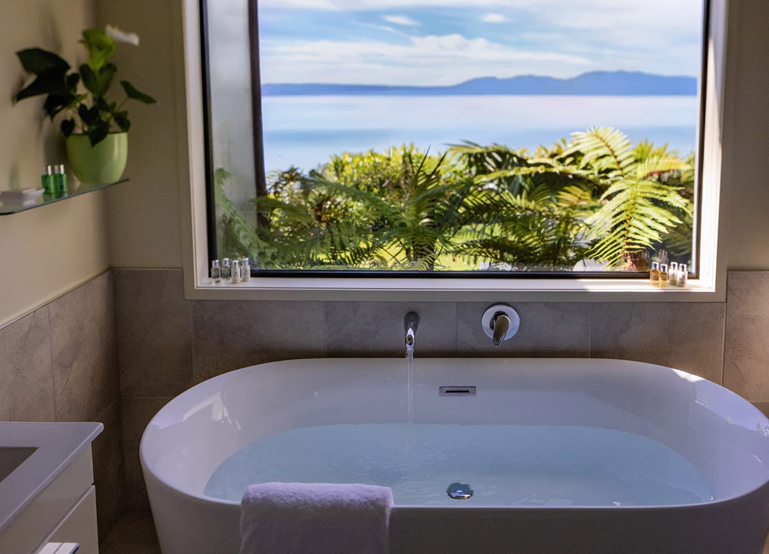 Tarawera Suite