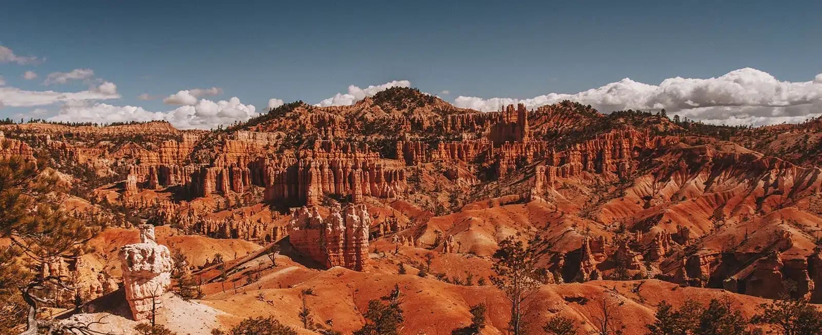 Under Canvas Bryce Canyon