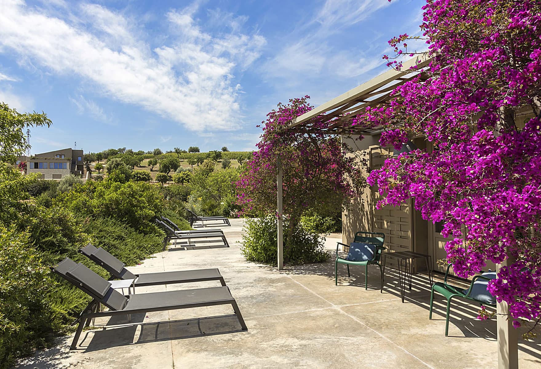 Deluxe Terrace