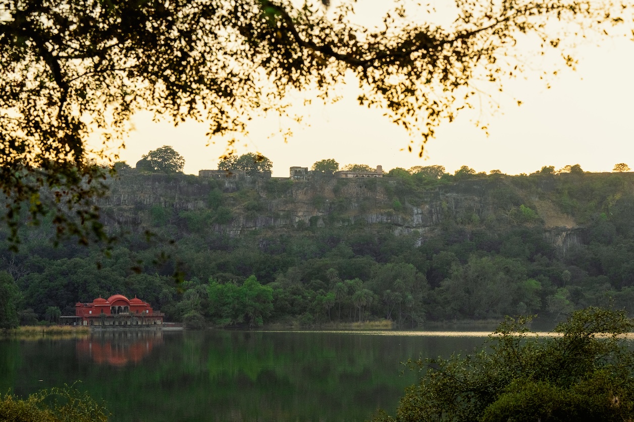 SUJÁN Sher Bagh