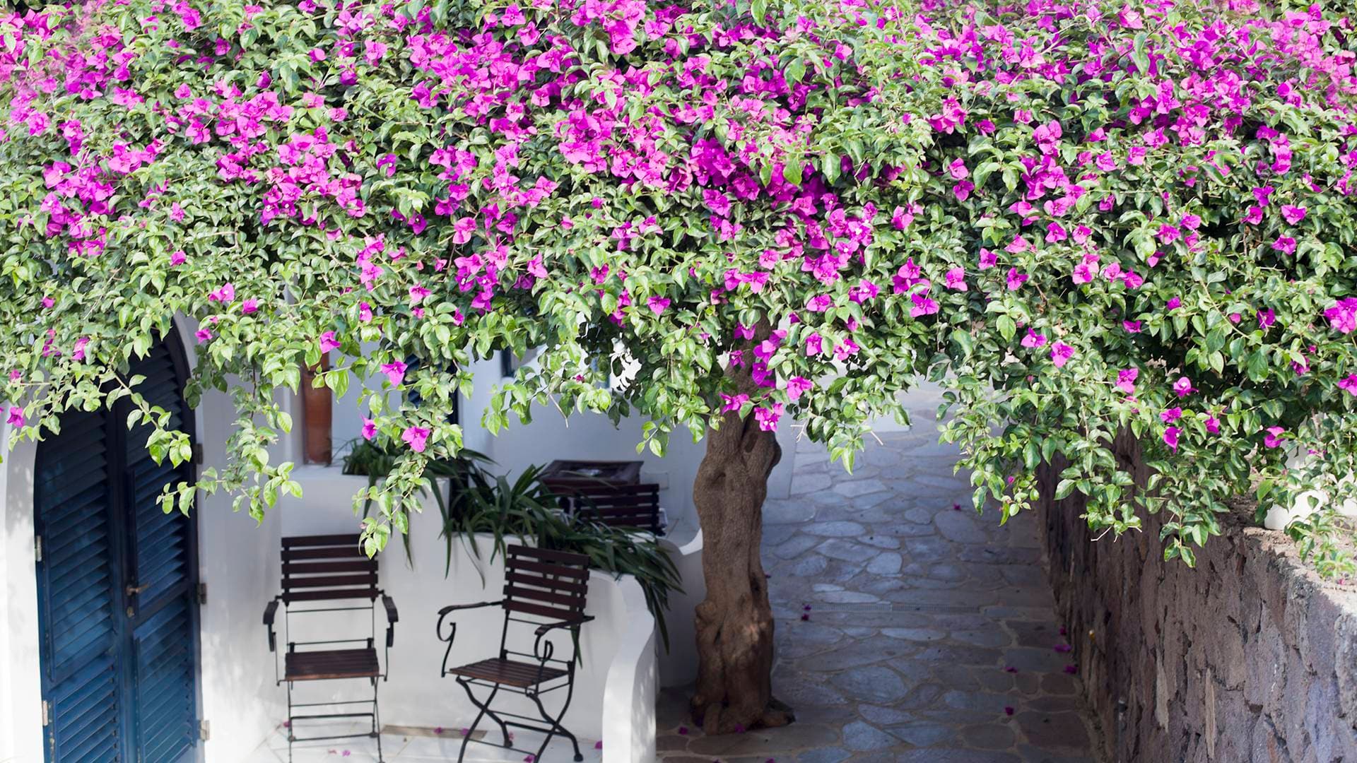 Quartara Resort Hotel