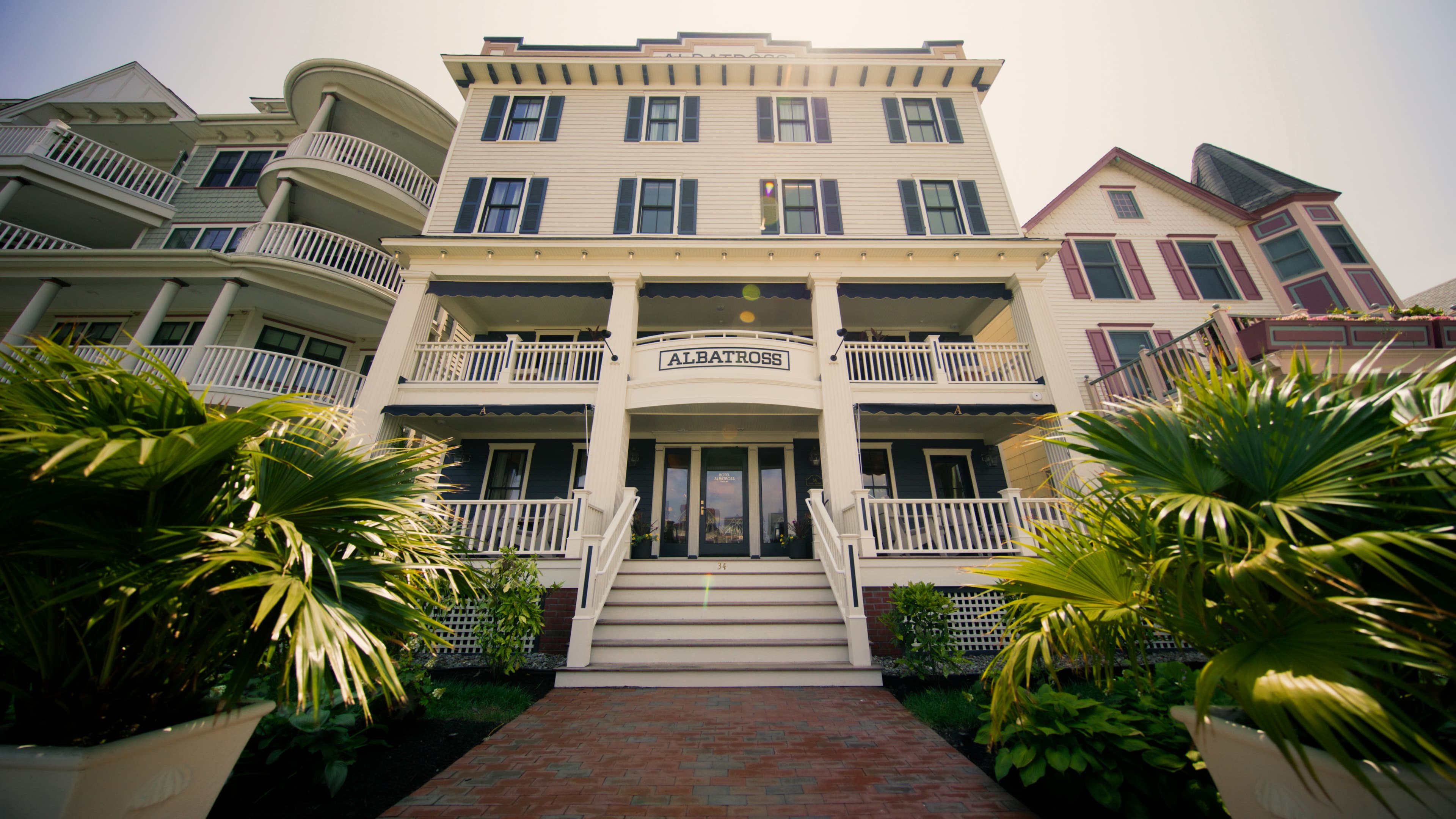 Hotel Albatross