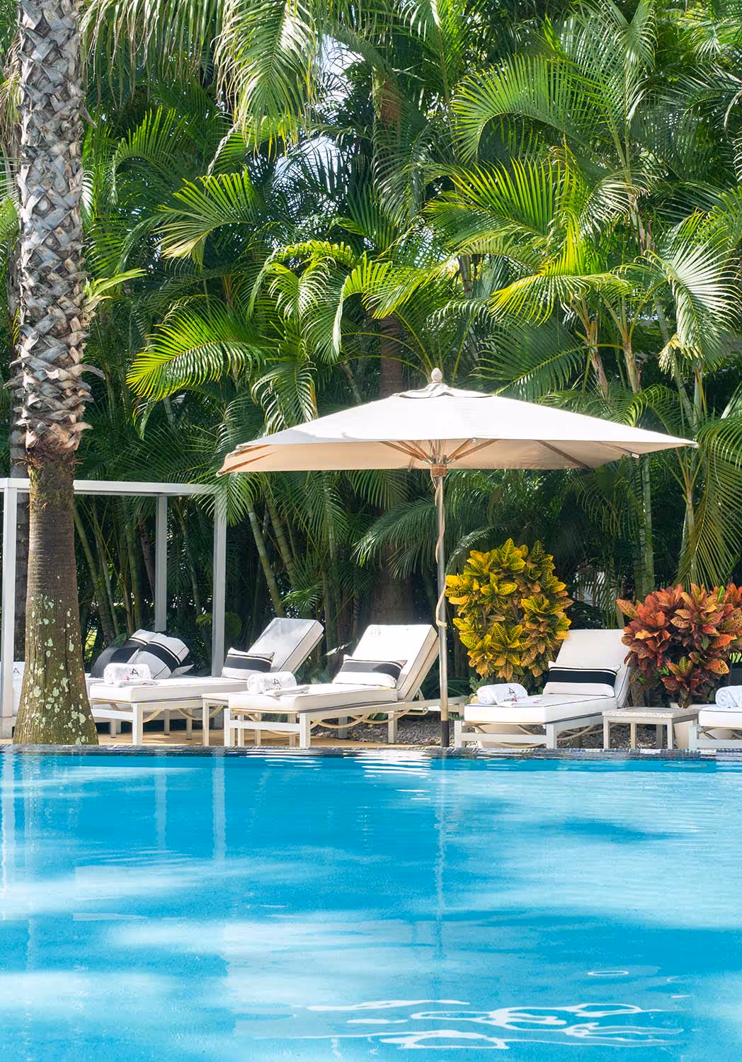 Deluxe Suite Consadori