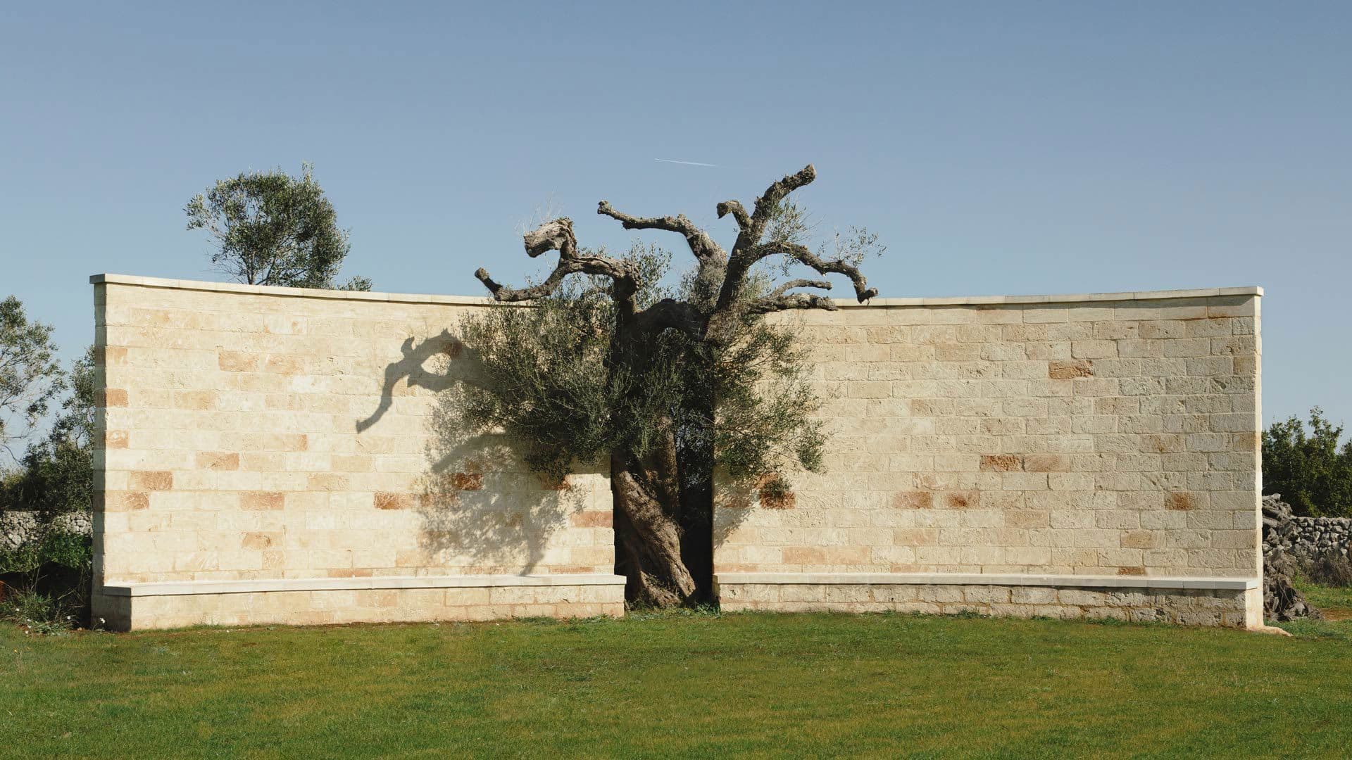 Secolario - Masseria del Viverbene