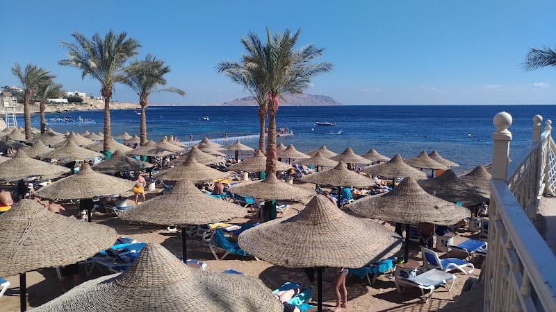 Пляж Sharks Bay