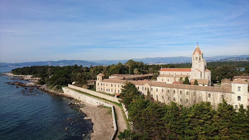Île Saint-Honorat Monastery & Vineyards Walk