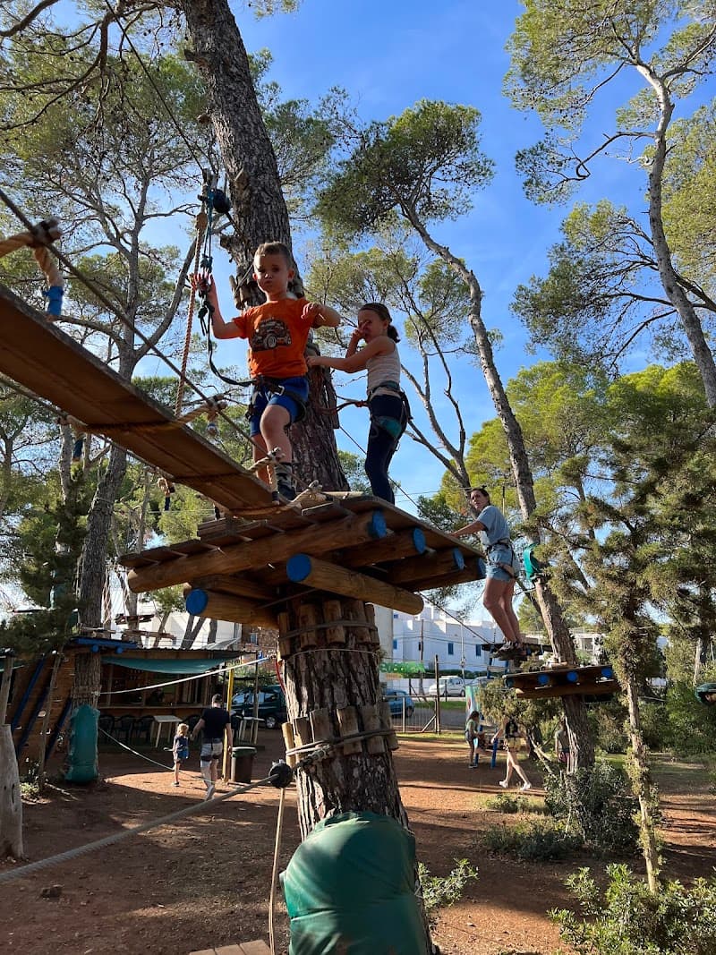 Acrobosc Ibiza Treetop Adventure Park