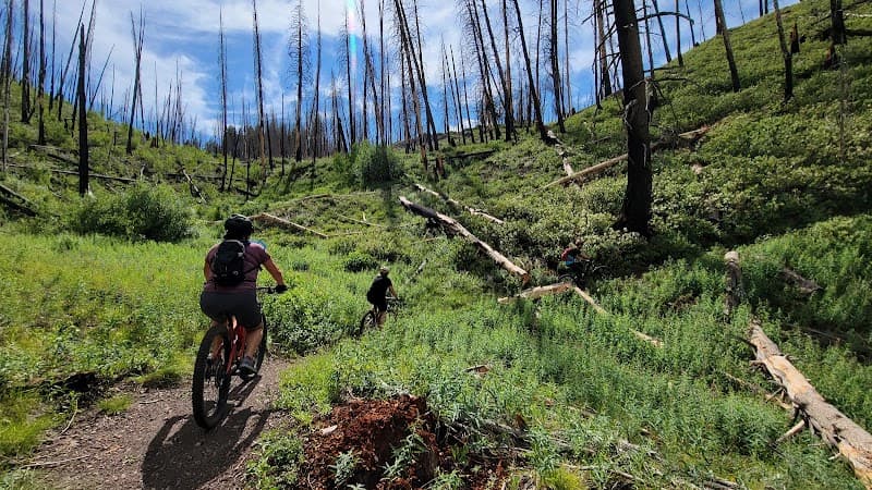 Adam’s Gulch Trail System (Short Scenic Hike)