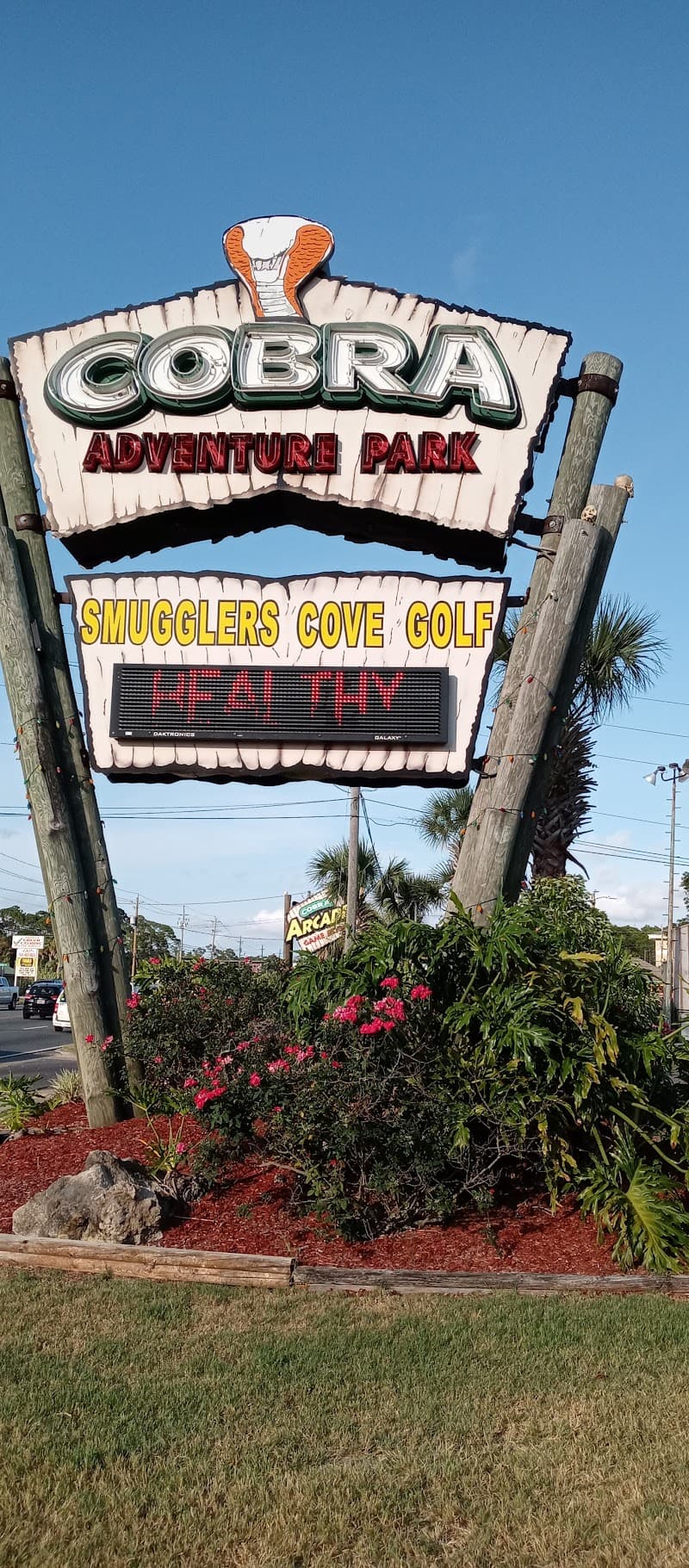 Aerial Adventure & Zipline at Cobra Adventure Park Area
