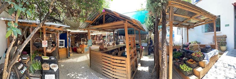 Afternoon Free Explore in La Cosecha Organic Market