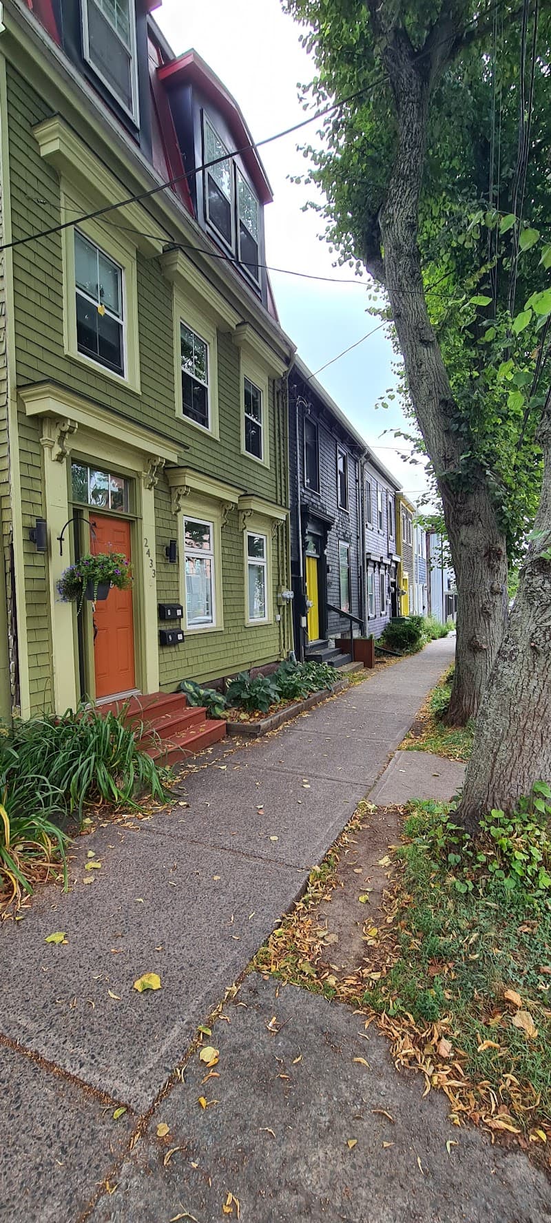 Agricola Street Evening Stroll