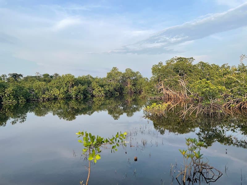 Akanda National Park