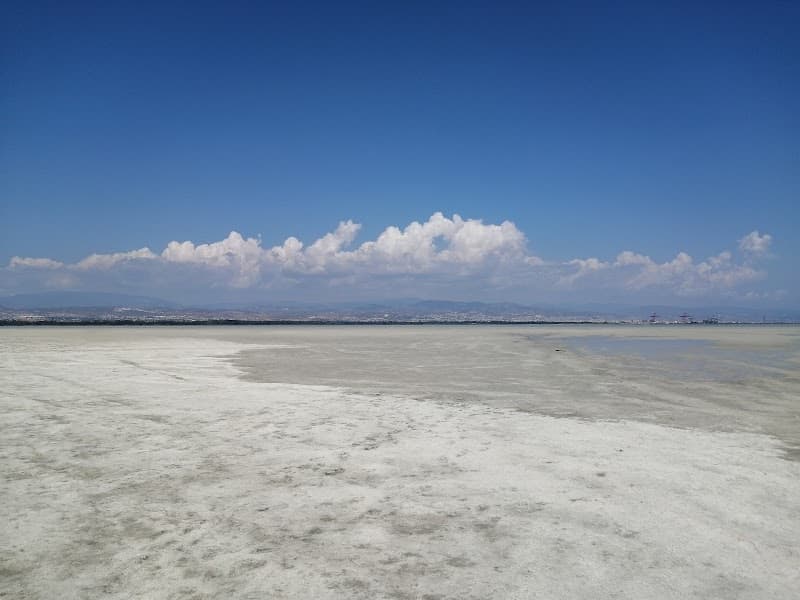 Akrotiri Salt Lake Viewpoint & Wetlands