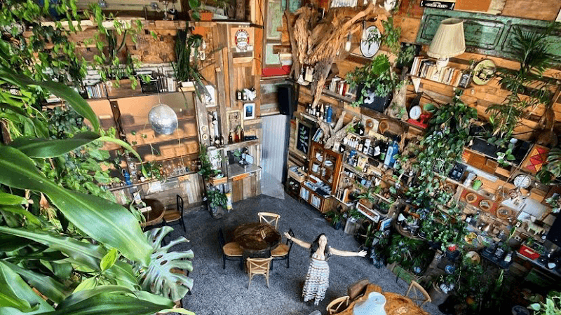 Romantic Jungle Vibes in Medellín’s Eternal Spring
