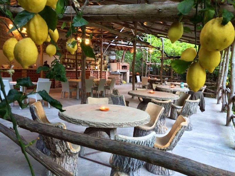 Amalfi Lemon Experience (Farm Tour & Tasting)