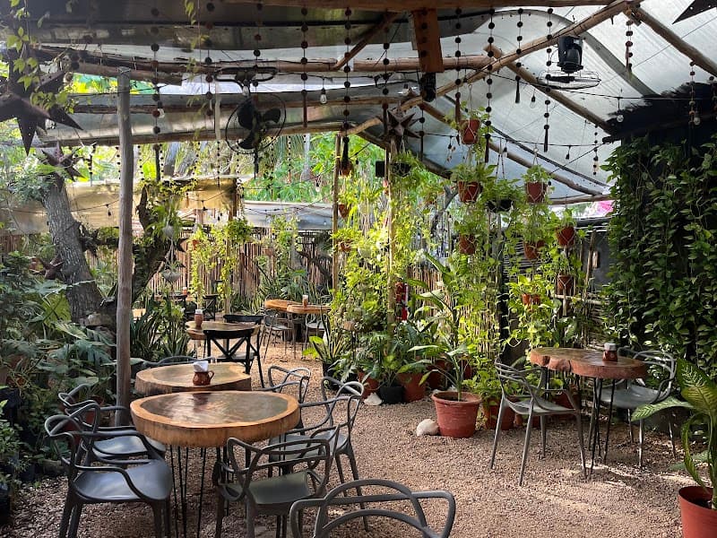 Arte Sano Holbox (Second Visit)