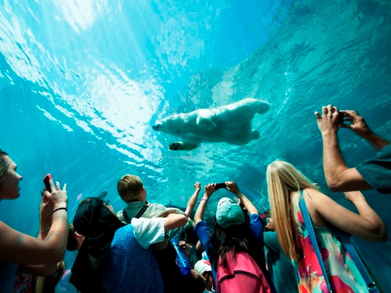 Assiniboine Park Zoo