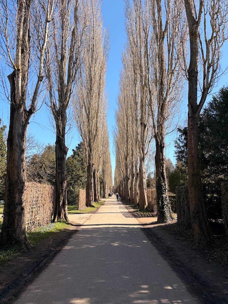 Assistens Cemetery