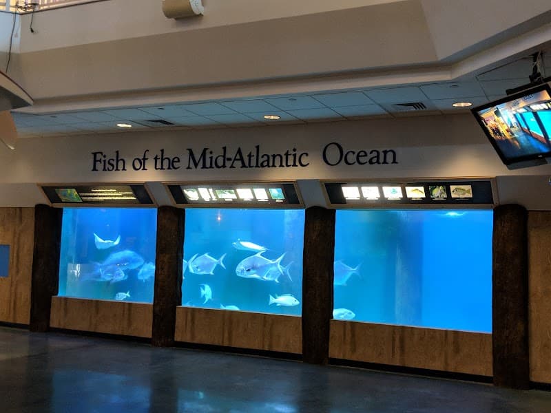 Atlantic City Aquarium & Historic Gardner’s Basin