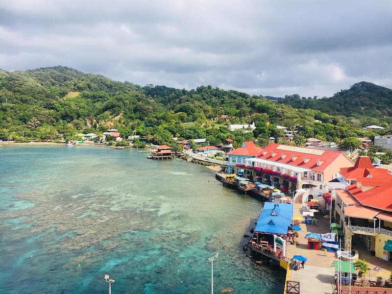 Coxen Hole Family Days: Nature, Markets, Art, and Beach