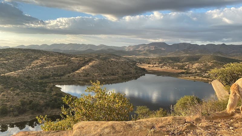 Avis Dam Nature Walk