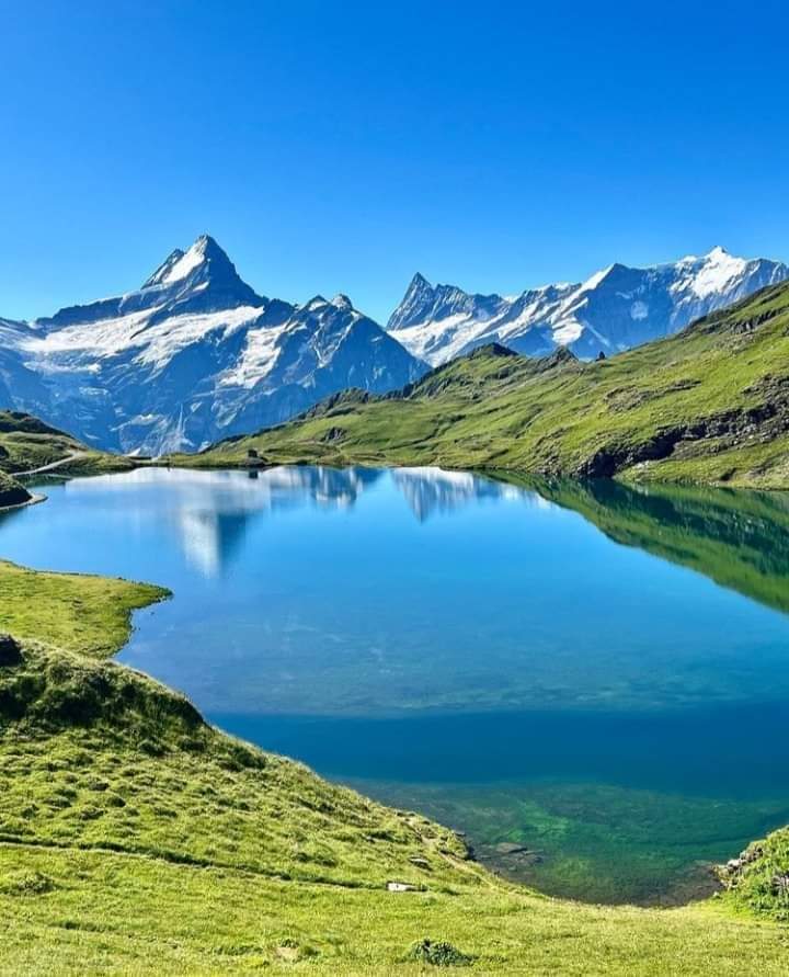 Bachalpsee Lake Hike