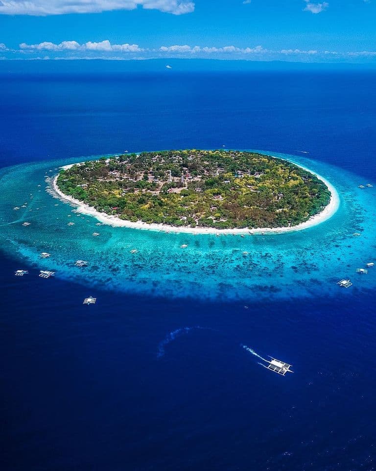 Balicasag Island Snorkeling