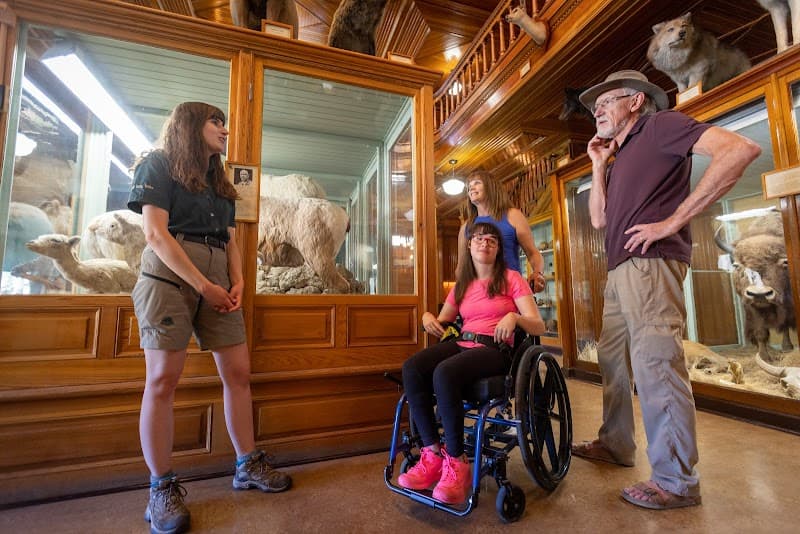 Banff Park Museum