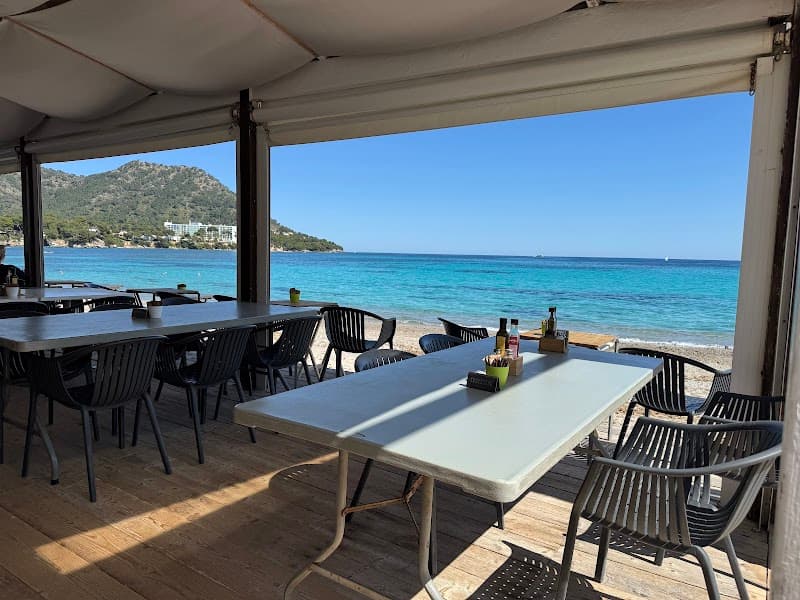 Bar Playa Cala Millor (Vegetarian/Seafood Choices)