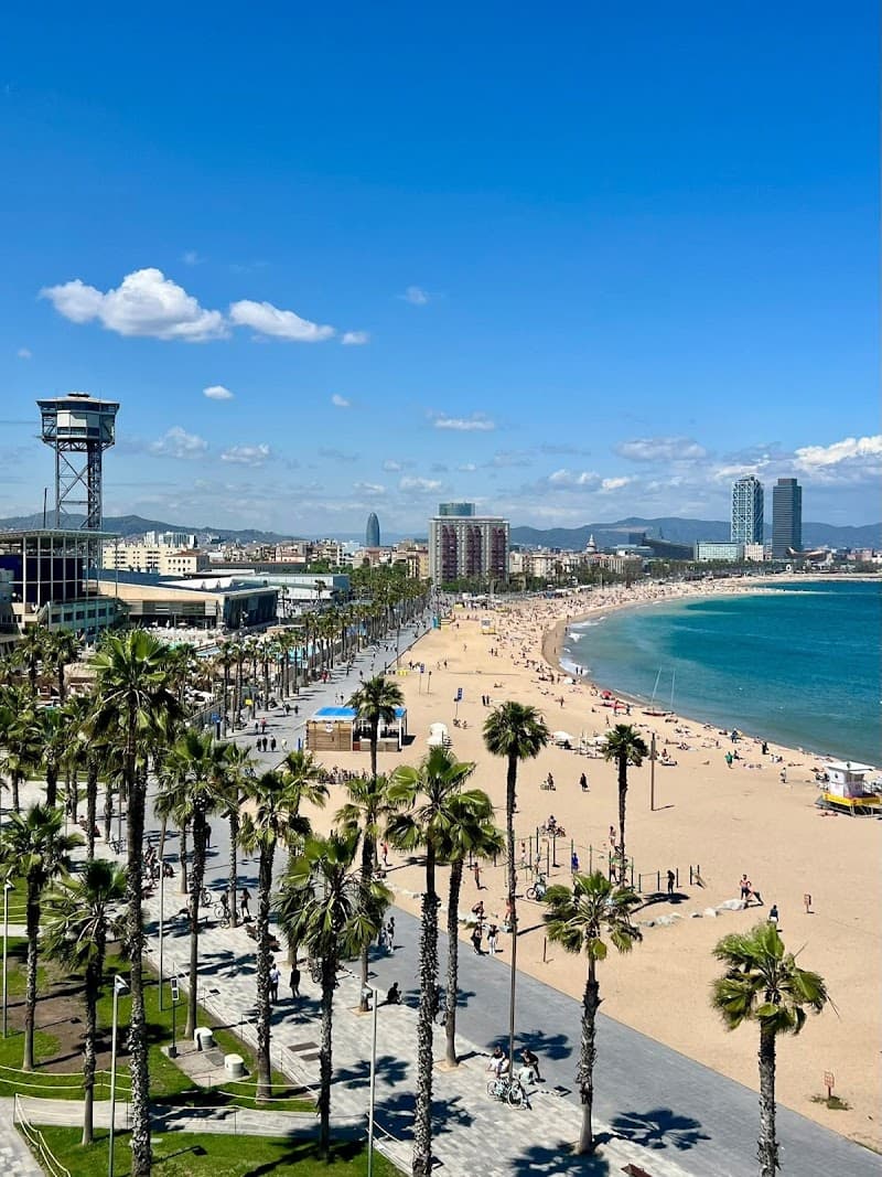 Barceloneta Beach Chiringuitos