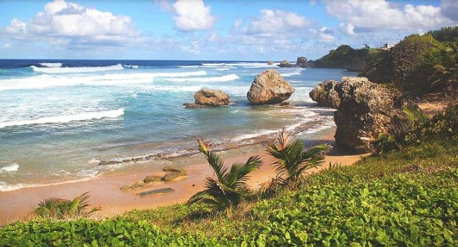 Bathsheba Beach Surf & Hike