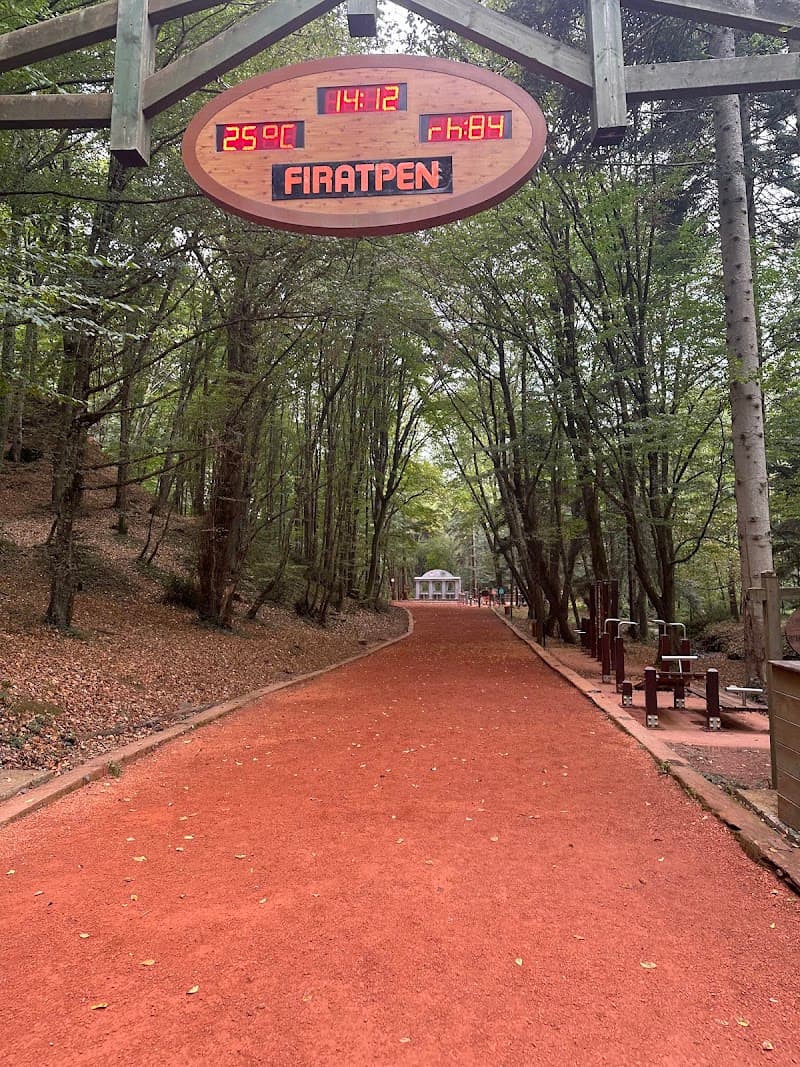 Belgrad Forest Hike