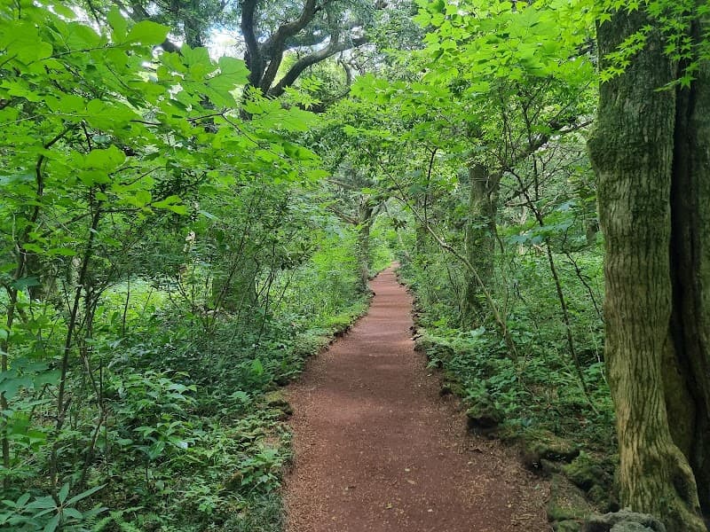 Jeju Jungle Escape: A Romantic 3-Day Island Getaway