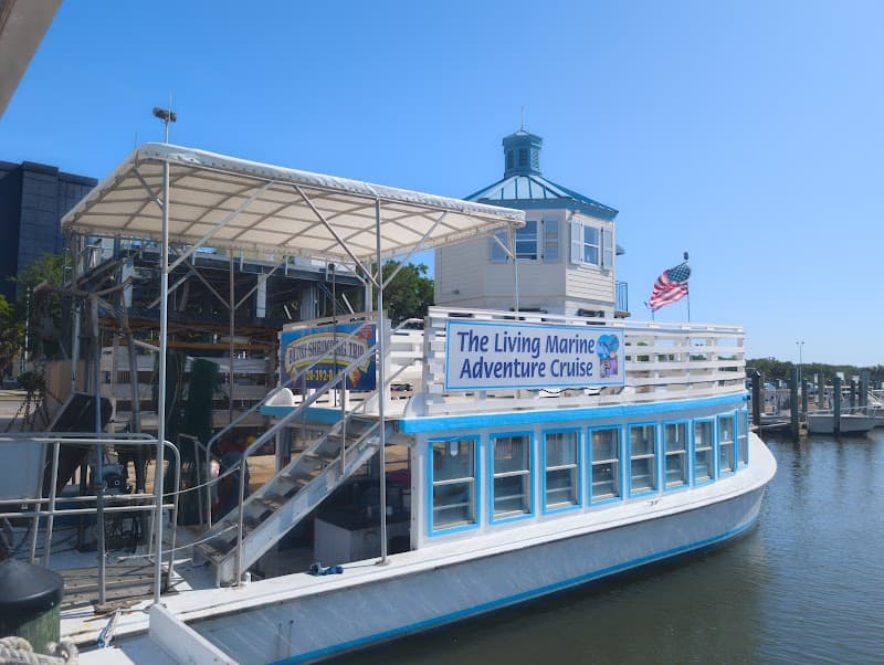 Biloxi Shrimping Trip or Eco Boat Tour