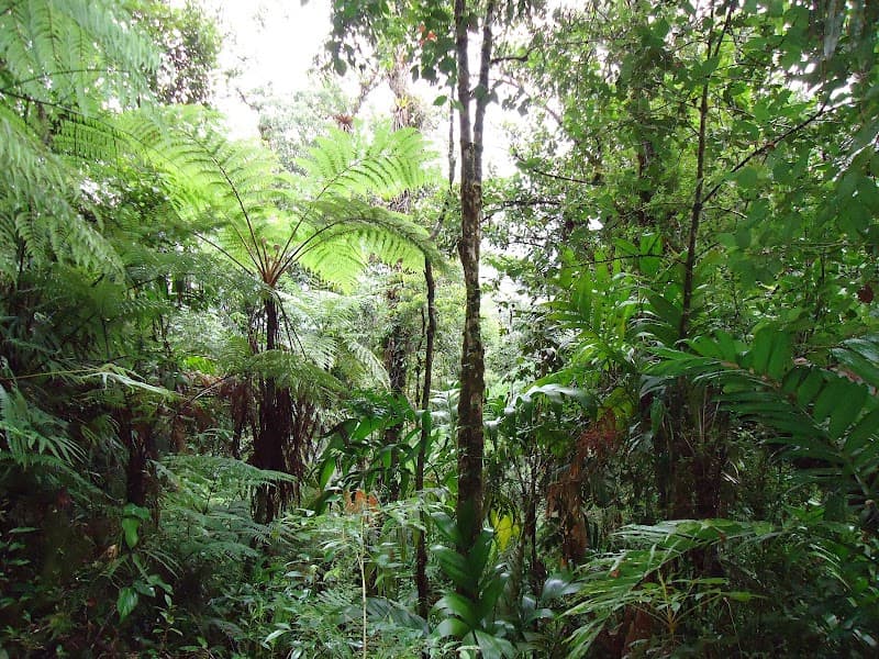 Biotopo del Quetzal