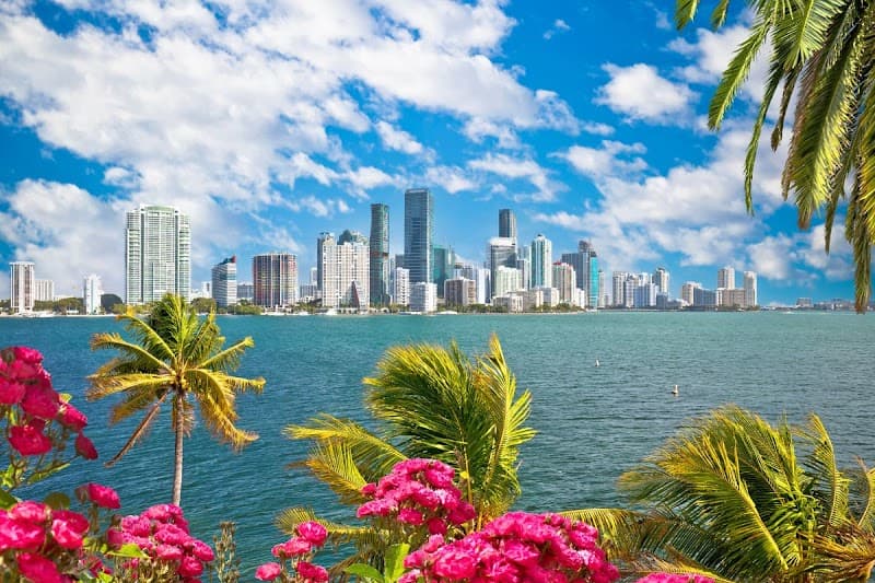 Biscayne Bay Sightseeing Boat Cruise