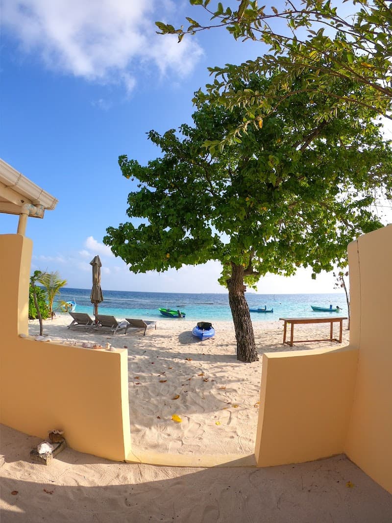 Romantic Maldives Island Escape: Adventure & Elegance
