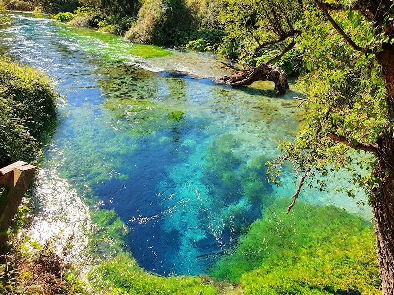 Blue Eye Spring (Syri i Kaltër) Excursion