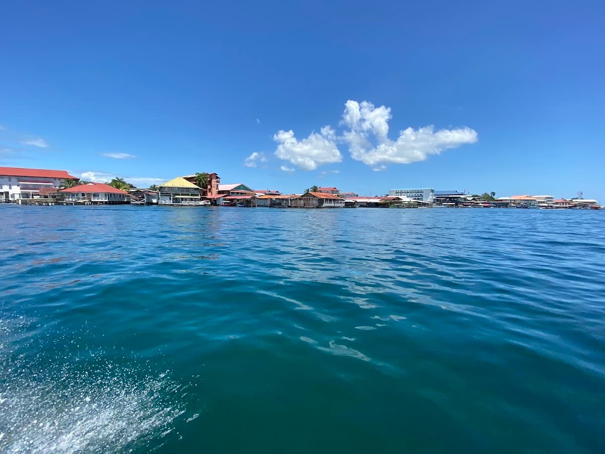 Bocas Town Market Stroll