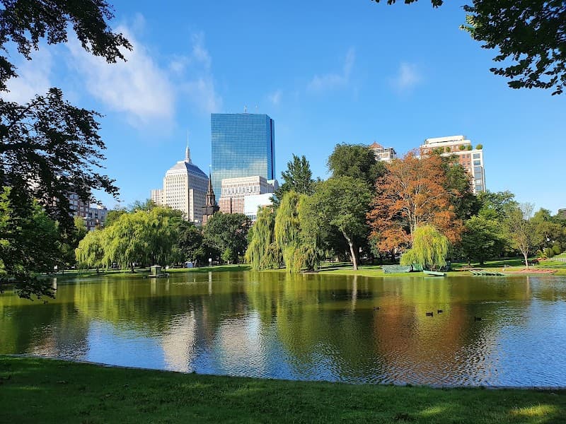 Boston Bliss: Nature, Bites & Minimalist Charm