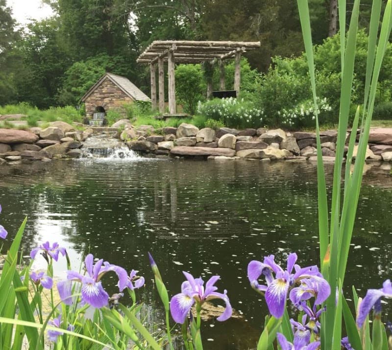 Bowman's Hill Wildflower Preserve