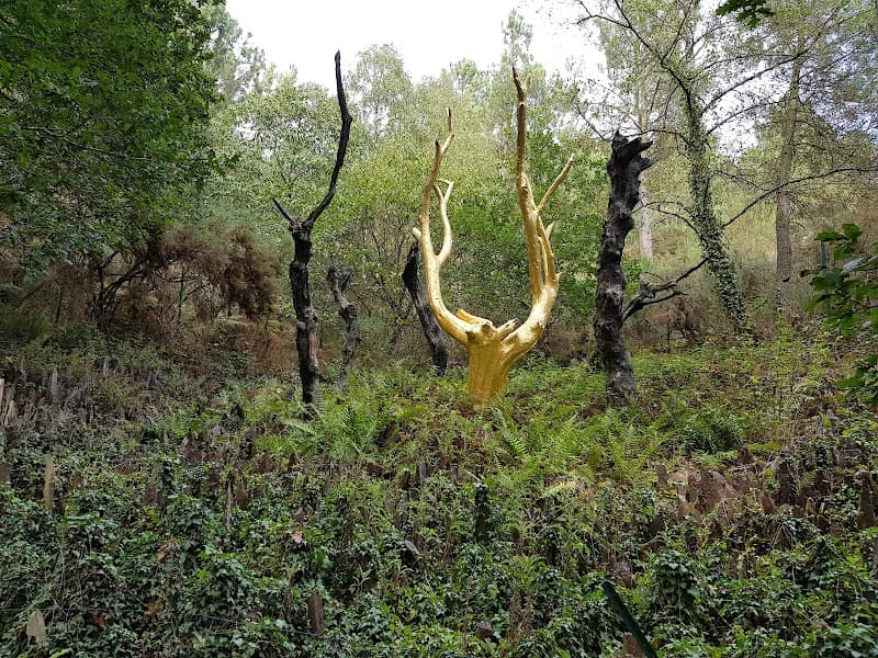 Brocéliande Forest Walk from Paimpont