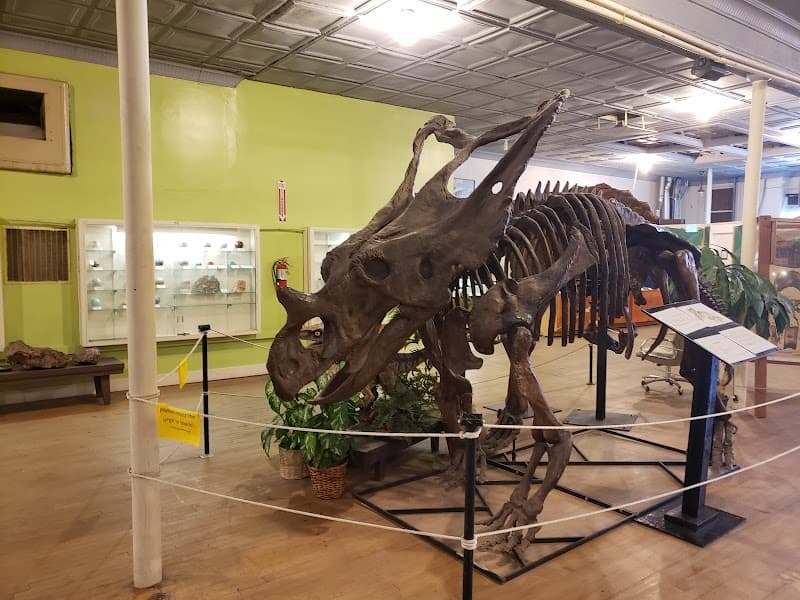 Buena Vista Museum of Natural History & Science