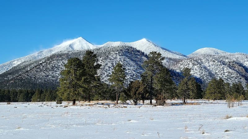 Buffalo Park Loop Trail