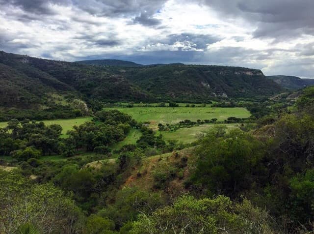 Cañada de la Virgen Archaeological Site (Half-Day Tour)