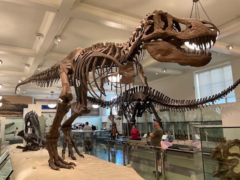 Café at the American Museum of Natural History (simple breakfast or coffee)