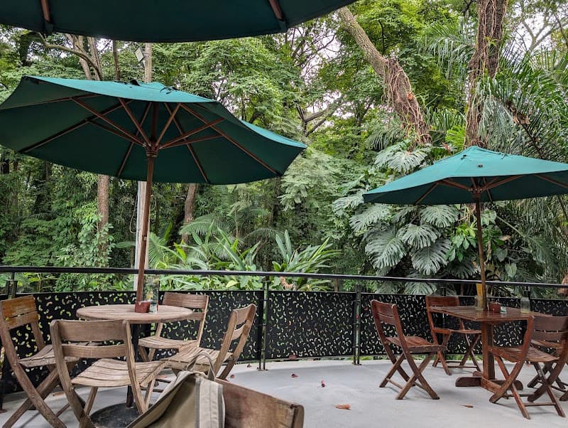 Café del Bosque (Jardín Botánico Café)
