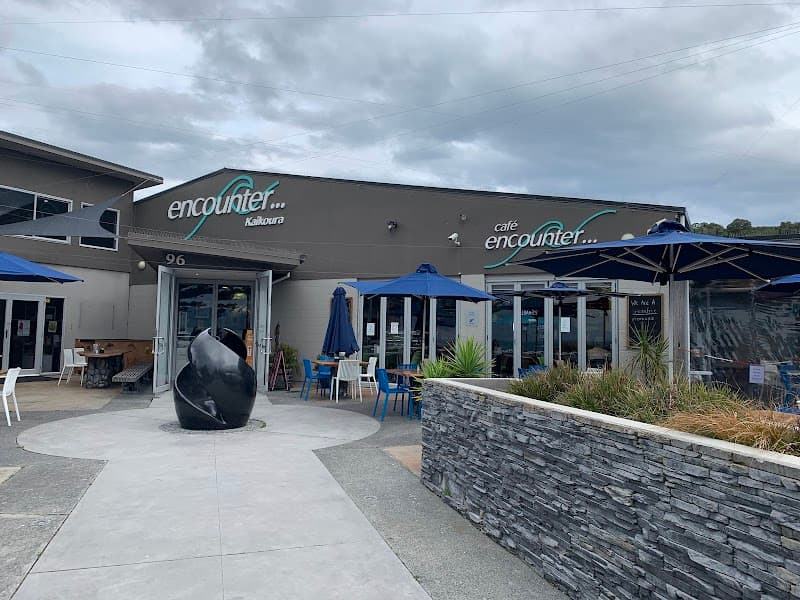 Kaikoura Coast Weekend: Dolphins, Cliffs, and Quiet Romance