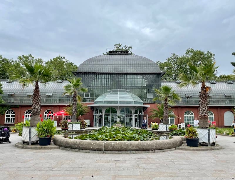 Café im Palmengarten