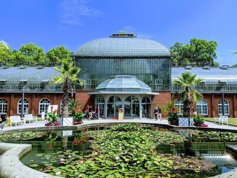 Café im Palmengarten
